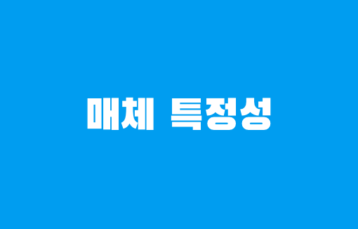 매체 특정성