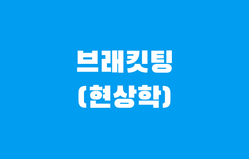 괄호치기 (현상학)