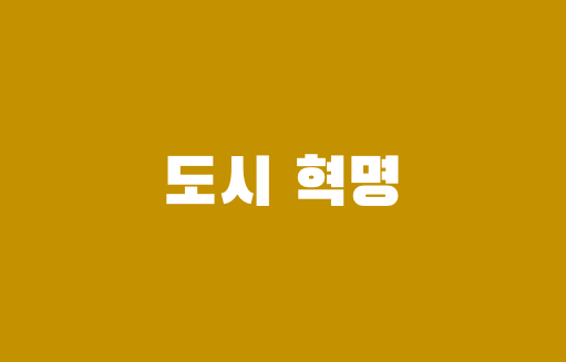 도시 혁명